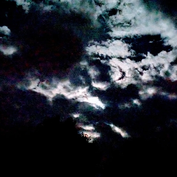 Meet your Posher, Ian - Picture 2 of 5